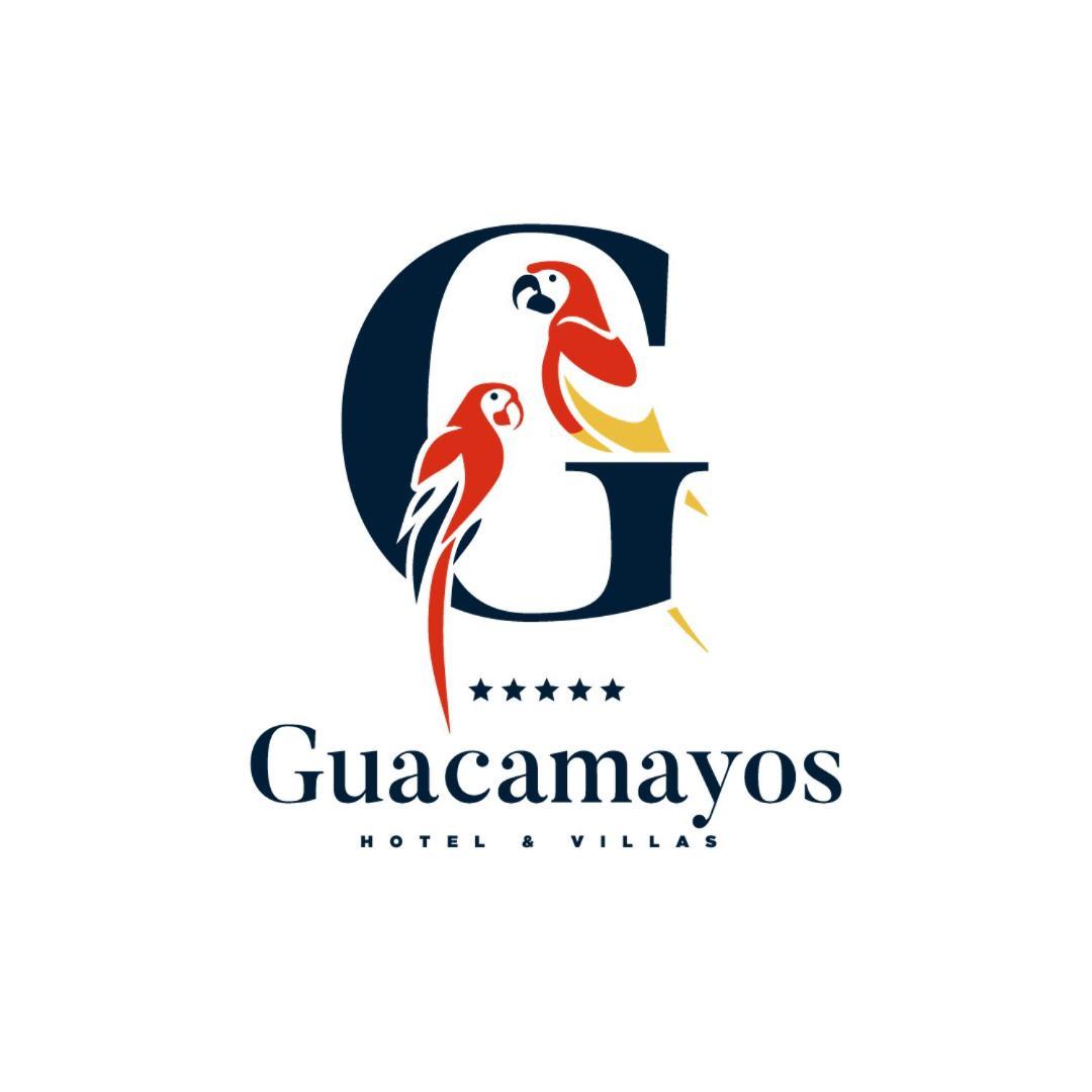 Guacamayos Hotel Bonao エクステリア 写真